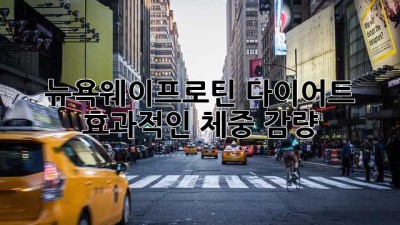 뉴욕웨이프로틴 다이어트: 효과적인 체중 감량?
